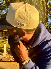 Load image into Gallery viewer, ELEMENTS ICON CAP