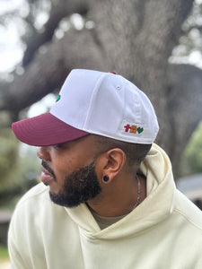 ELEMENTS ICON BASEBALL CAP