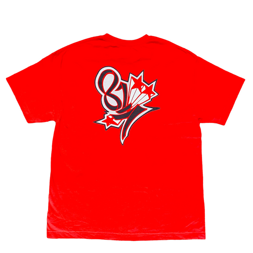THE 817 VINTAGE TEE