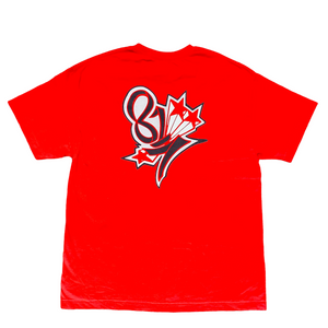 THE 817 VINTAGE TEE