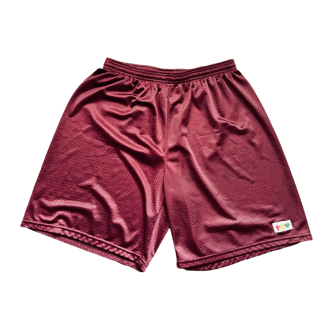 ELEMENTS GYM SHORTS